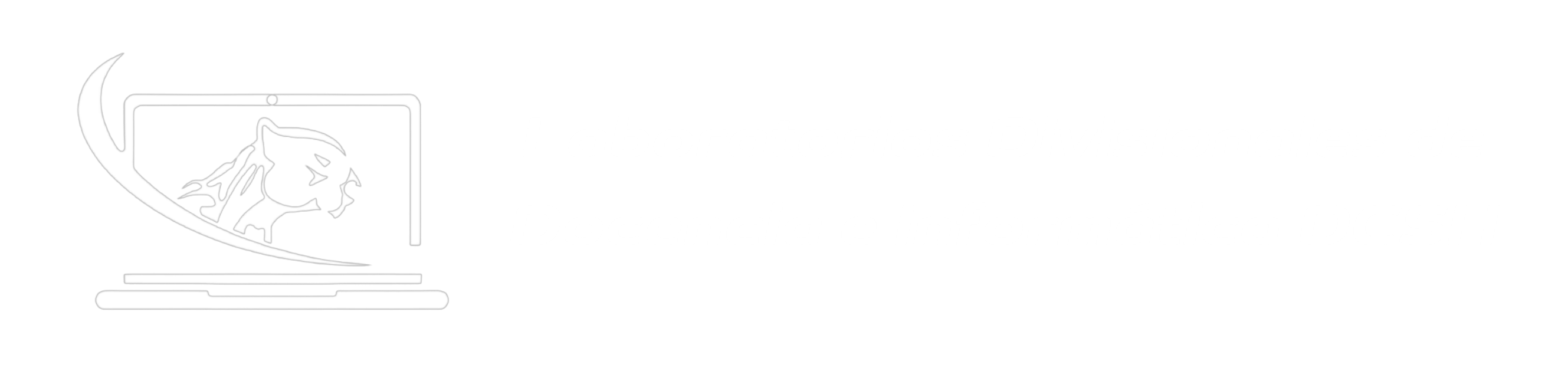 LDDI